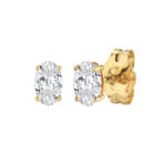 Zircon Studs Earrings - Gold Plated